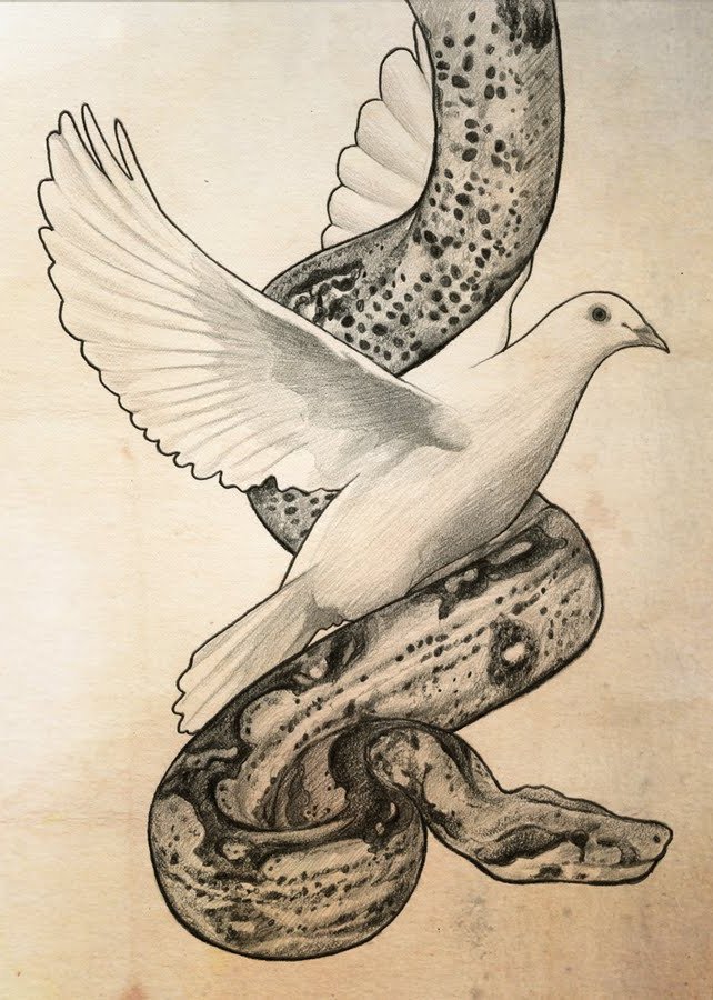 snake_dove