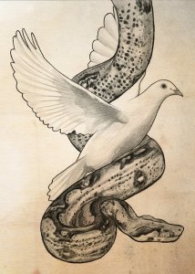 snake_dove