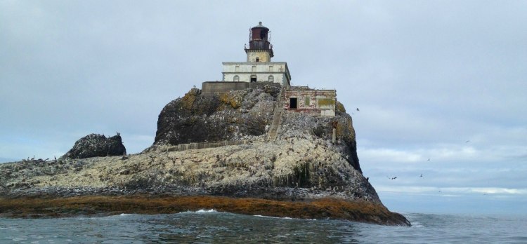 tillamookrocklighthouse_mid-res_mini